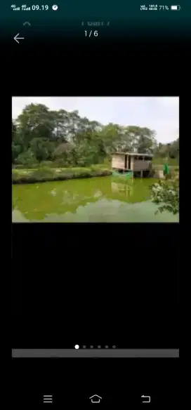 Dijual tnh + kolam ikan Nurdin panji