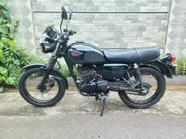 W175 Black Style 2022 Cash/Kredit