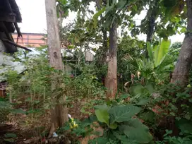 kavling siap bangun siap bangun dekat bintaro UT16355