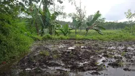 Lahan industri 50 HA harga 400 ribu permeter di Candipuro, Lumajang