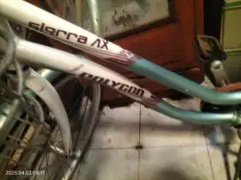 POLYGON SIEERA AX 26