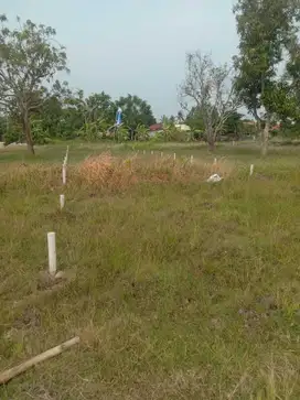 Kredit Tanah kavling bebas denda, tanpa bunga dan tanpa BI checking