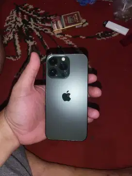 Iphone 13 pro alpine green
