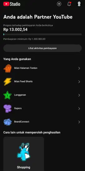 PARTNER YOUTUBE