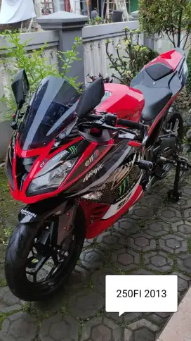 Ninja 250 Fi mulus bodi zx 636