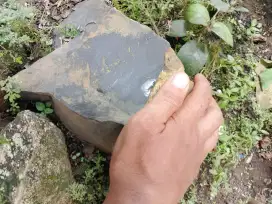 Batu kecubung tanduk