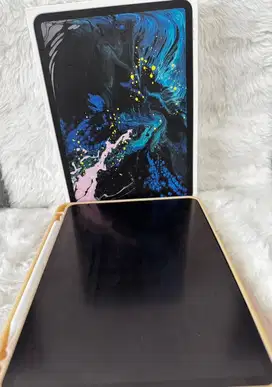 Ipad Pro 11 inch