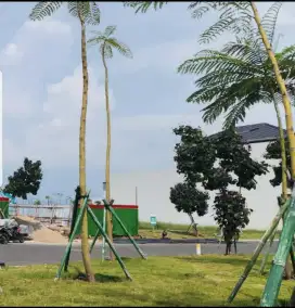 Jual Rugi Kavling Rumah PBV PIK 2