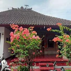 Dijual Rumah style bali 6 are hitung harga tanah saja