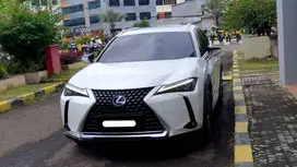 km22 ribuan lexus ux250 ux 250 hybrid sunroof 2019 putih