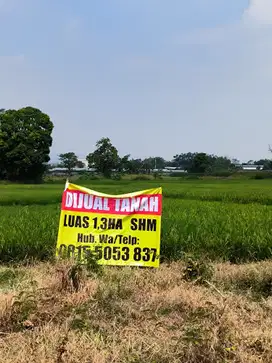 Dijual tanah Di pasuruan purwosari sukodermo bisa untuk pabrik