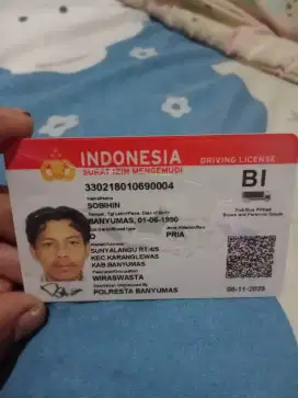 Sedang mencari pekerjaan sebagai supir/driver