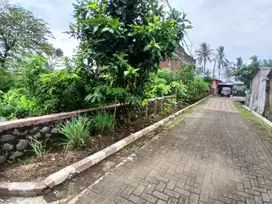 Tanah Kavling Pakisjajar Malang Cocok Untuk Hunian dan Investasi