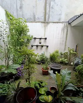 DI JUAL CEPAT RUMAH SIAP HUNI CLUSTER SAPPHIRE PHG di Gading Serpong