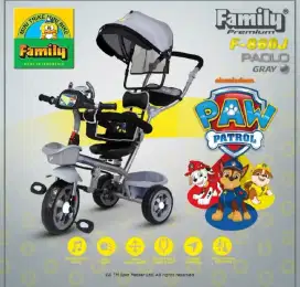 Sepeda roda tiga FAMILY premium PAOLO GREY tipe F-860J