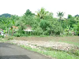 Tanah Imogiri dijual murah 100 jutaan , SHM P dalam cluster