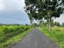 Tanah Datar Bonus Rumah Tinggal 2216m2 Karanganyar, Solo