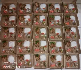 KATERING MAKAN SIANG KARYAWAN