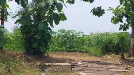 DIJUAL TANAH BALONG BENDO SIDOARJO