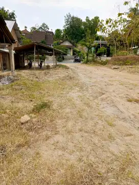 TANAH TEPI JALAN RAYA JENANGAN NGEBEL