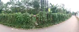 Jual Tanah Dibawah NJOP Murah Zona Abu Klapanunggal Cileungsi Nego