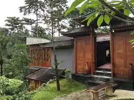 The ULTIMATE Jungle View for Freehold Sale Tegalalang - Ubud