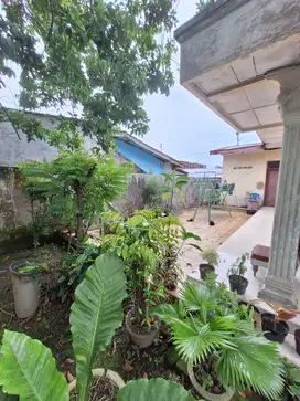 JUAL RUMAH HITUNG TANAH DI KOMPLEK RISPA EKA WARNI - MEDAN JOHOR