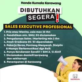 Sales Mobil Honda