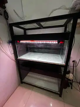 Tank 80cm rak dan lampu