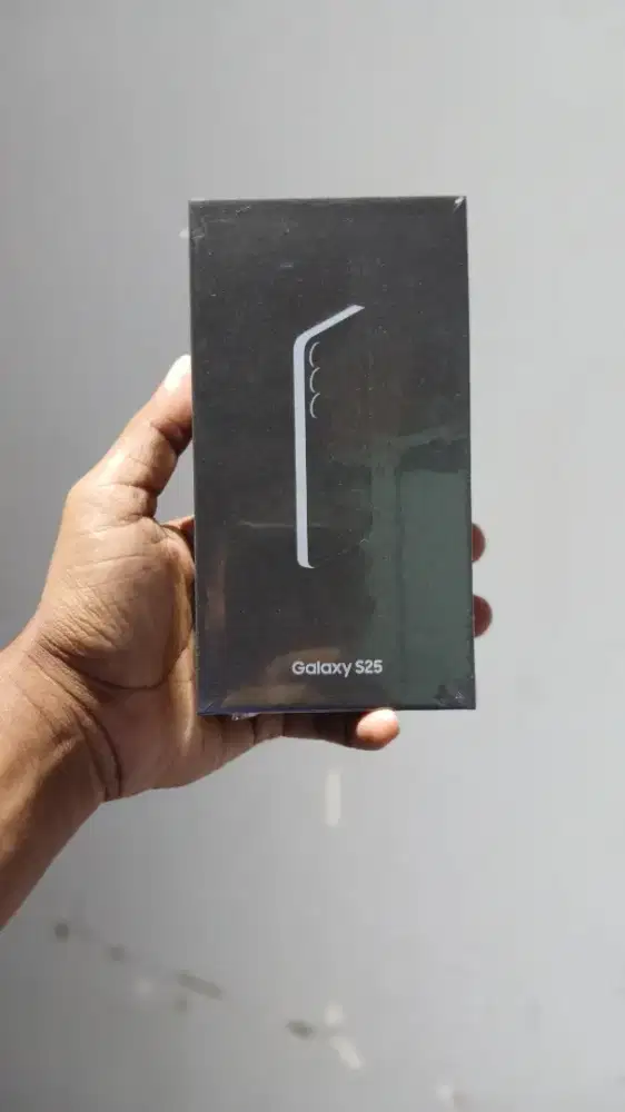 Samsung Galaxy S25 5G