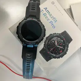 Amazfit T-Rex Pro Second