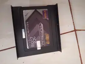 SSD 256 GB V Gen Platinum