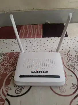 Router Raisecom