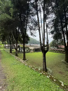 DIJUAL RUMAH VILLA ASRI DI LEMBANG BANDUNG