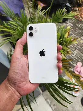 Iphone 11 128gb resmi ibox