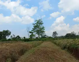 Tanah Kavling Dau Bangun Villa Lokasi Asri dan Strategis