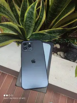 Iphone 13 Pro Max Ibox