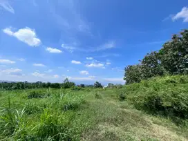 tanah view gunung semeru, Gunung arjuna dan City Light kota Malang