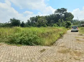 Tanah Murah Area Potensial untuk Hunian Tenang Dekat UMM