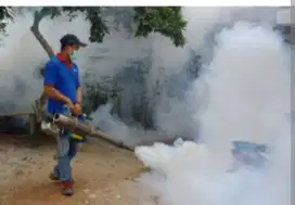 Menerima jasa fogging