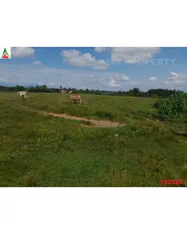 Dijual lahan 15 hektar di zona industri Legok Tangerang
