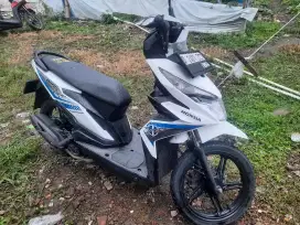 Beat eco 2017 orsinil
