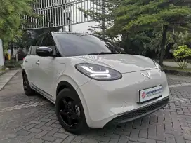 Binguo EV 2024 TDP 5jt Wuling Listrik 2025  Air EV BY d
