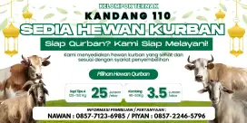 Kambing qurban Jawa randu