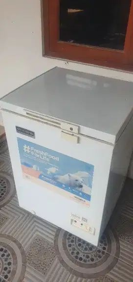 Freezer Box MODENA 100lt