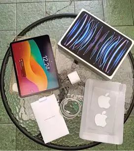 Ipad Pro M2 Wifi 256 GB