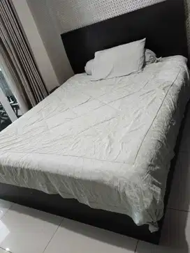 Thamrin Executive Residences Studio Lantai 27 Full Furnished