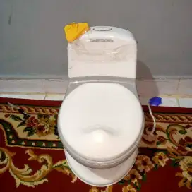 Toilet untuk baby