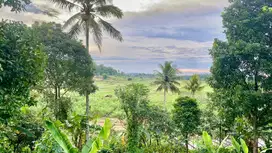 Dijual Murah Tanah Kebun Manggis Dekat Villa Pinggir Jalan Purwakarta