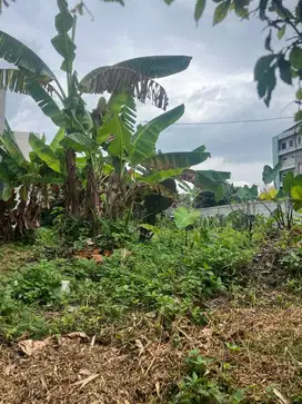 Jual tanah kavling dlm cluster di Taman Yasmin.